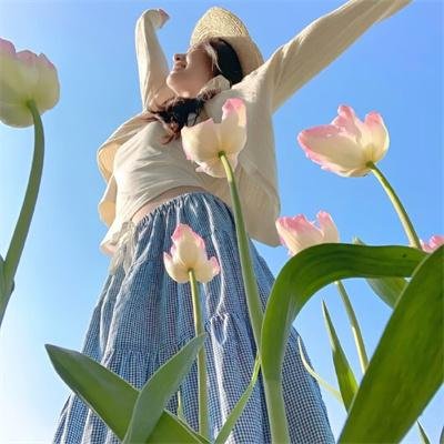 莫莱坞之神灯怪盗